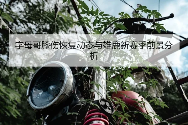 字母哥膝伤恢复动态与雄鹿新赛季前景分析